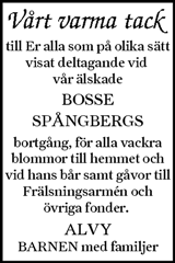 Ljusnan