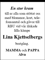 Upsala Nya Tidning