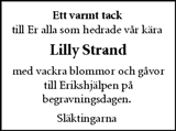 Dagen