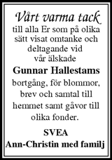 Tidningen Ångermanland,Örnsköldsviks Allehanda