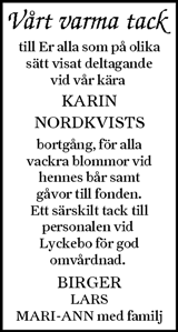 Ljusnan