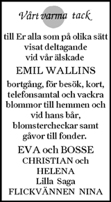 Ljusnan