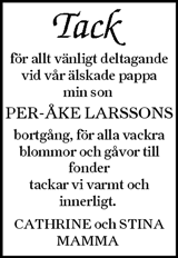Ljusnan
