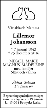 Mitt i Botkyrka-Salem