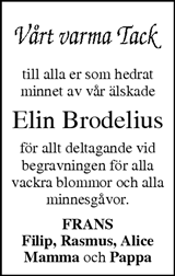 Falköpings Tidning,Västgöta-Bladet,Skaraborg Läns Tidning