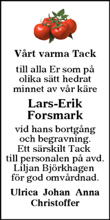 Annonsbladet Dalarna