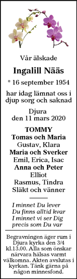 Borlänge Tidning,Falu-Kuriren,Södra Dalarnes Tidning,Nya Ludvika Tidning