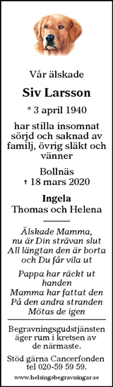 Ljusdals-Posten,Hudiksvalls Tidning,Ljusnan,Söderhamns-Kuriren
