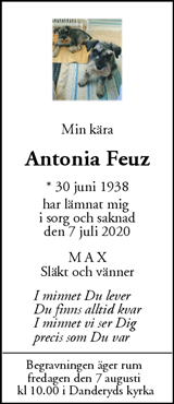 Mitt i Danderyd