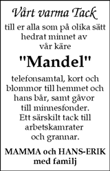 Karlskoga Kuriren,Karlskoga Tidning