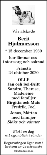 Sundsvalls Tidning