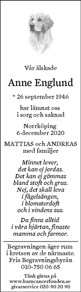 Norrköpings Tidningar