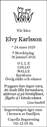Norrköpings Tidningar