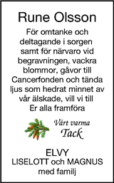 Borås Tidning