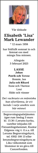 Lerums Tidning (e-tidning)
