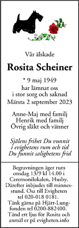 Mitt i Sigtuna