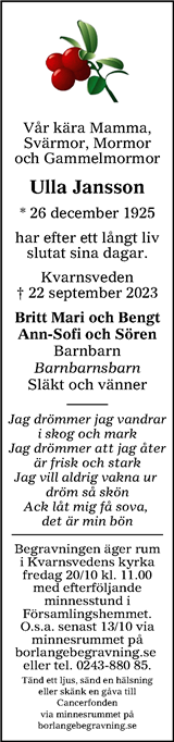 Annonsbladet Dalarna,Lokalt i Dalarna (fd Annonsbladet Dalarna)