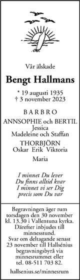 Mitt i Vallentuna