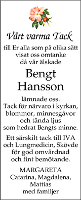 Nya Lidköpings-Tidningen