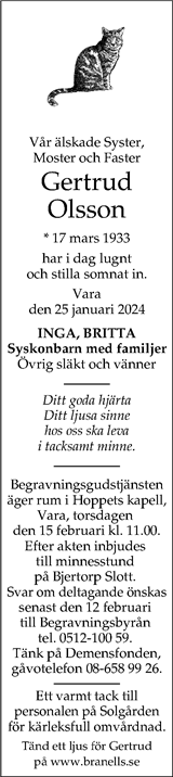Nya Lidköpings-Tidningen