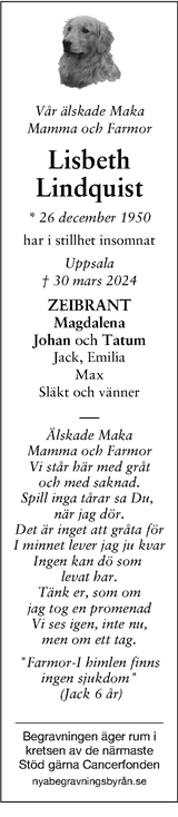 Tidningen 7