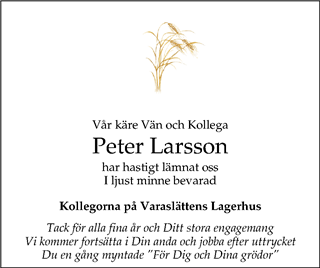 Nya Lidköpings-Tidningen