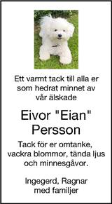 Borås Tidning