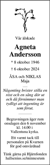 Vallentuna Nya Tidning