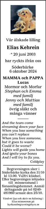 Borlänge Tidning,Falu-Kuriren,Södra Dalarnes Tidning,Nya Ludvika Tidning