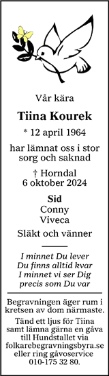 Annonsbladet Dalarna,Lokalt i Dalarna (fd Annonsbladet Dalarna)