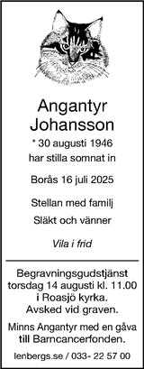 Borås Tidning
