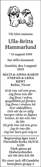 Västerviks-Tidningen