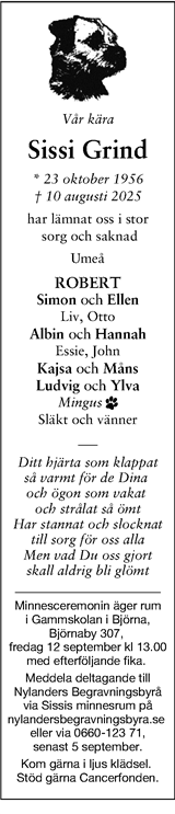 Tidningen 7