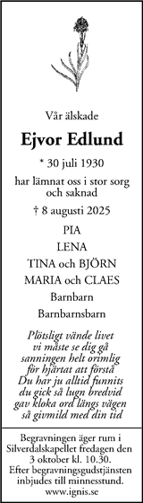 Mitt i Västerort