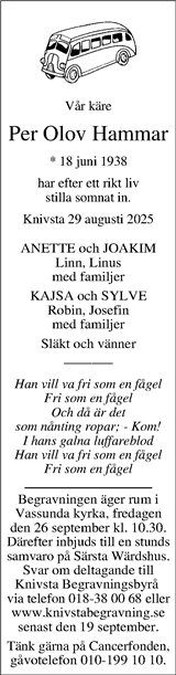 Knivstanytt