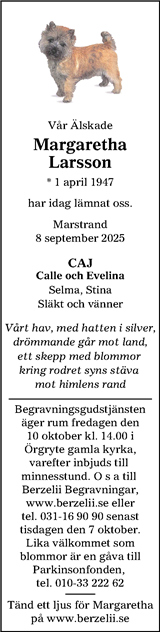 Göteborgs-Posten