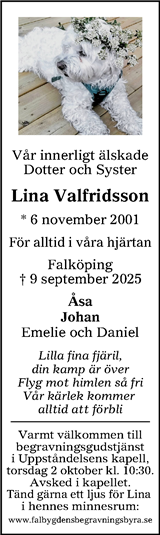 Falköpings Tidning,Västgöta-Bladet,Skaraborg Läns Tidning