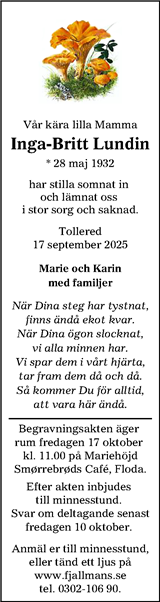 Lokalpressen Lerum