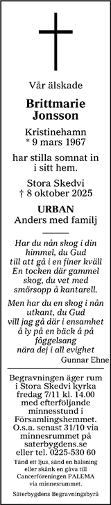 Borlänge Tidning,Falu-Kuriren,Södra Dalarnes Tidning,Nya Ludvika Tidning