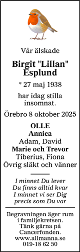Nerikes Allehanda