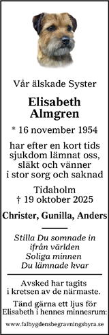 Falköpings Tidning,Västgöta-Bladet,Skaraborg Läns Tidning