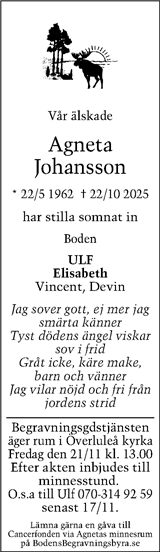 Boden Gratistidning