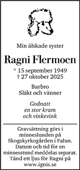 Dagens Nyheter