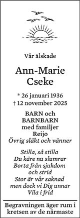 Norrköpings Tidningar