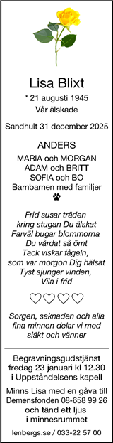 Borås Tidning