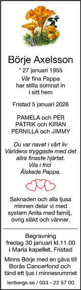 Borås Tidning