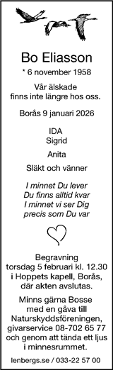 Borås Tidning
