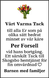 Lokalt i Dalarna (fd Annonsbladet Dalarna)