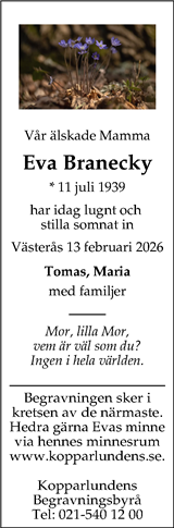 Västerås Tidning