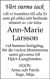 Nya Lidköpings-Tidningen